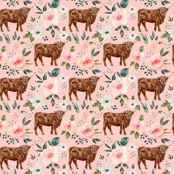 Little Highland Cow in Pink