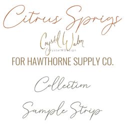 Citrus Sprigs Sample Strip