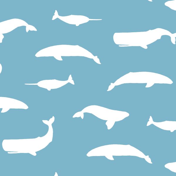 Whale Silhouette in Surf
