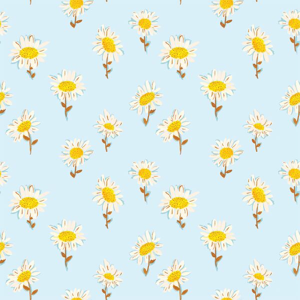 Sunny Daisies in Breeze