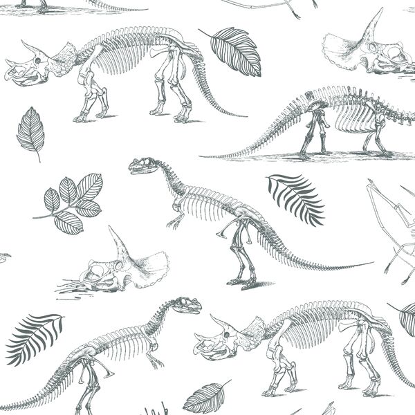 Fossils in Storm on White