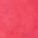 Palette in Radish