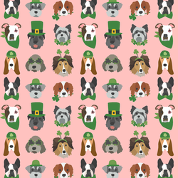 Irish Pups in Pink Carnation