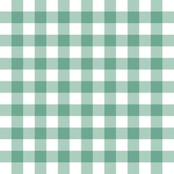 Gingham in Mint Green