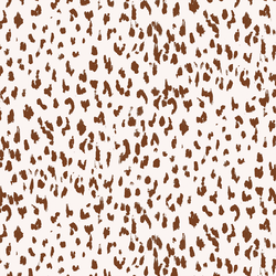 Spotted Leopard in Equinox