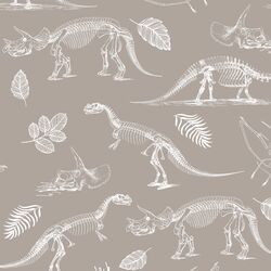 Fossils in Taupe