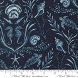 Coastal Damask in Deep Sea
