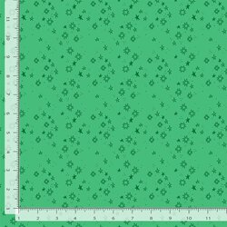 Quiltstellation in Capricorn