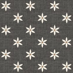 Star Flowers in Coal