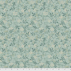 Jasmine in Aqua