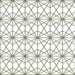 Terrarium in Olive on White