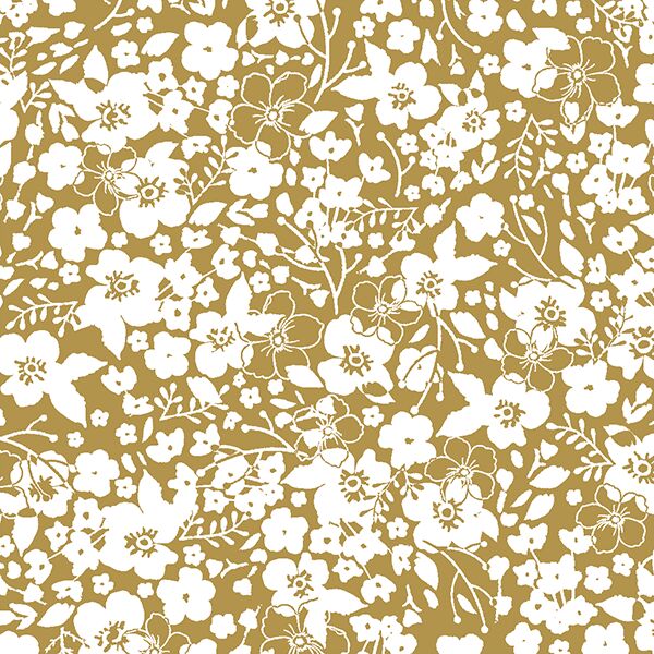 Forget Me Not in Marigold