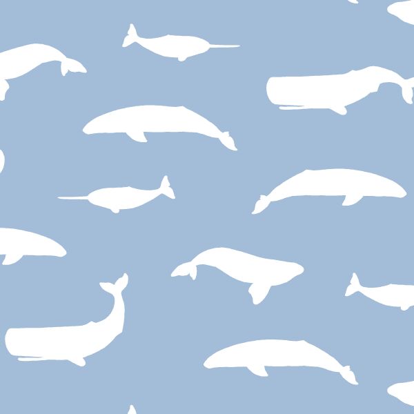 Whale Silhouette in Water