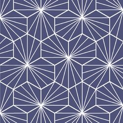 Radiate in Indigo