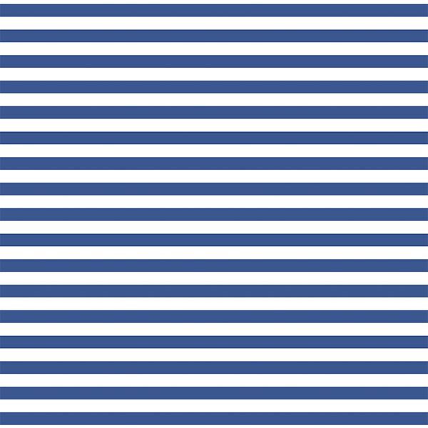 Horizontal Dress Stripe in Blue Jay
