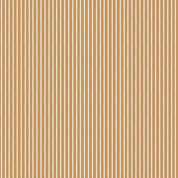 Little Stripe in Cider