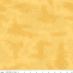 Shabby in Maize