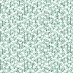 Cotton Field in Mint