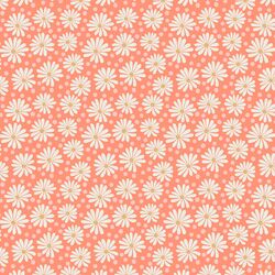 Daisies in Bright Spring