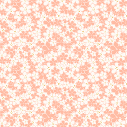 Sakura Blossoms in Sunrise