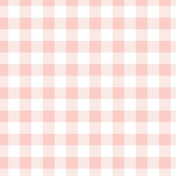 Gingham in Pink