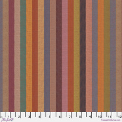 Broad Stripe in Dusky