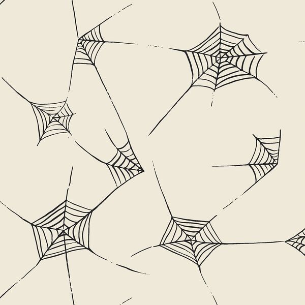 Large Spiderwebs in Charcoal on Bone