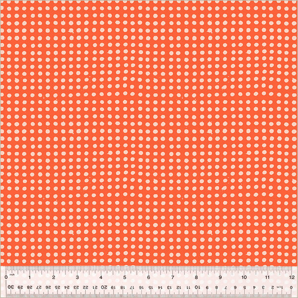 Dots in Delphinium