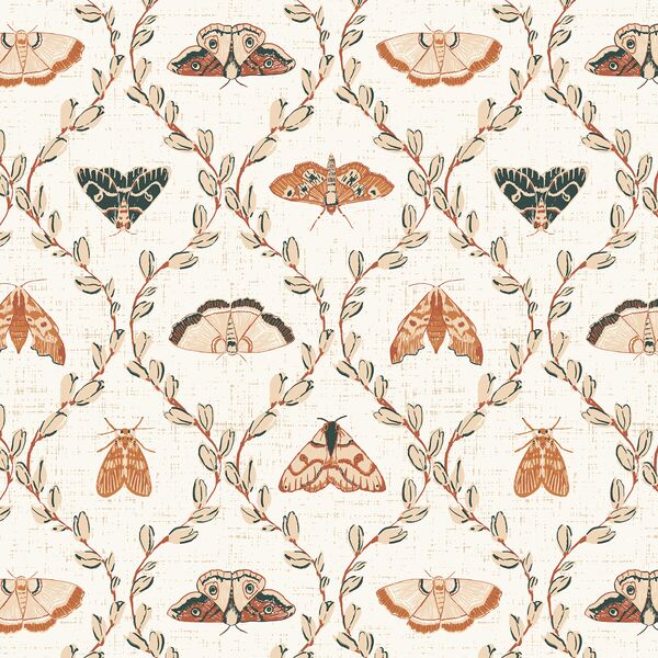 Divine Moths in Woodland