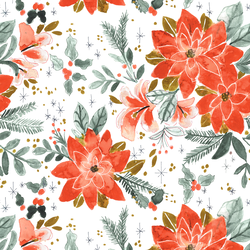 Poinsettia Splendor in White