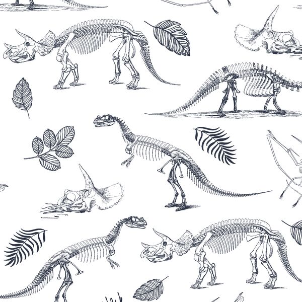 Fossils in Eclipse on White