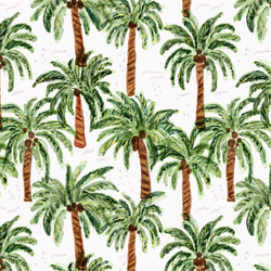 Palm Paradise in Coconut
