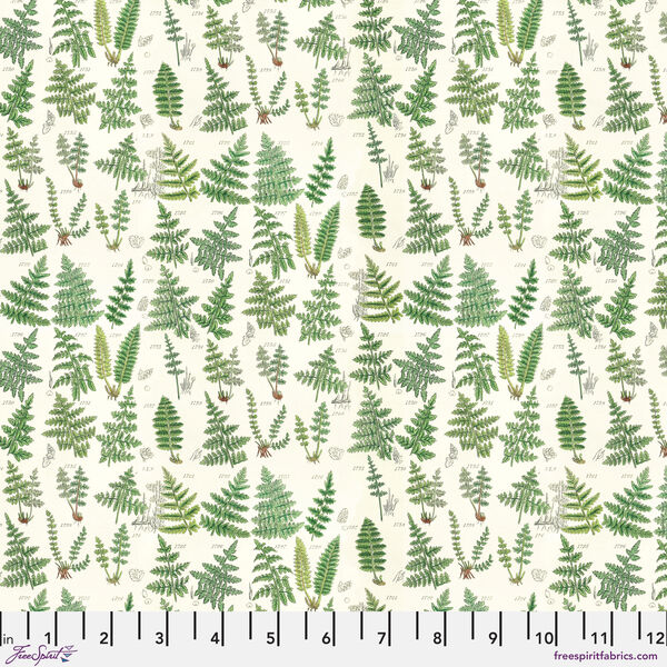 Ferns in Green