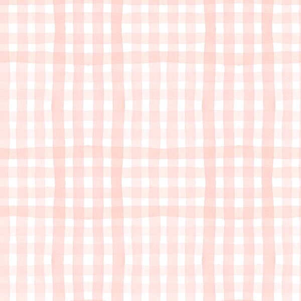 Painted Gingham in Light Coral