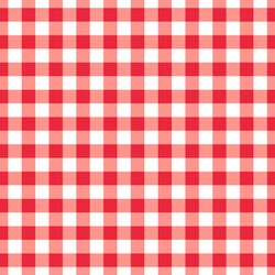 Large Summer Gingham in Berry Red