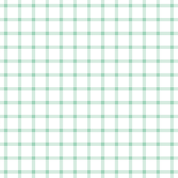 Summer Gingham Check in Sweet Mint