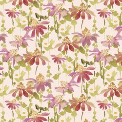Coneflower in Light Peach