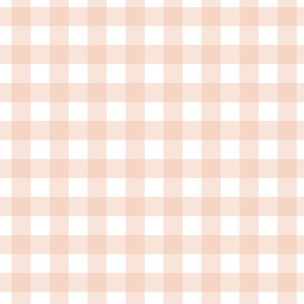 Gingham in Apricot
