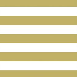 Horizontal Play Stripe in Brass