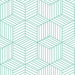 Cubic in Succulent