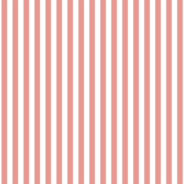 Dress Stripe in Tulip