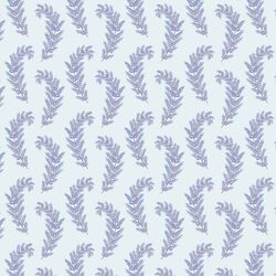 Wild Fern in Sky