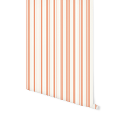 Umbrella Stripe in Peach