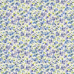 Forget-Me-Not in Light Cream