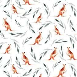 Kangaroos in White