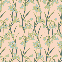 Leek Blossom in Twilight