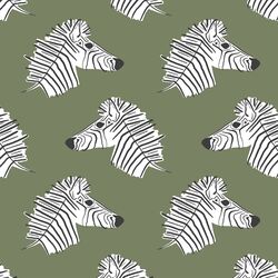 Burchell Zebra in Olive