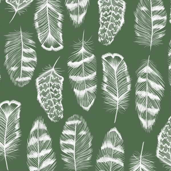 Plume in Kale