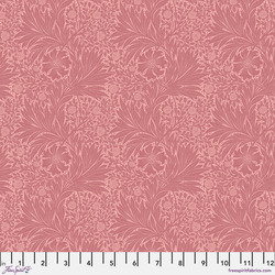 Marigold in Rose