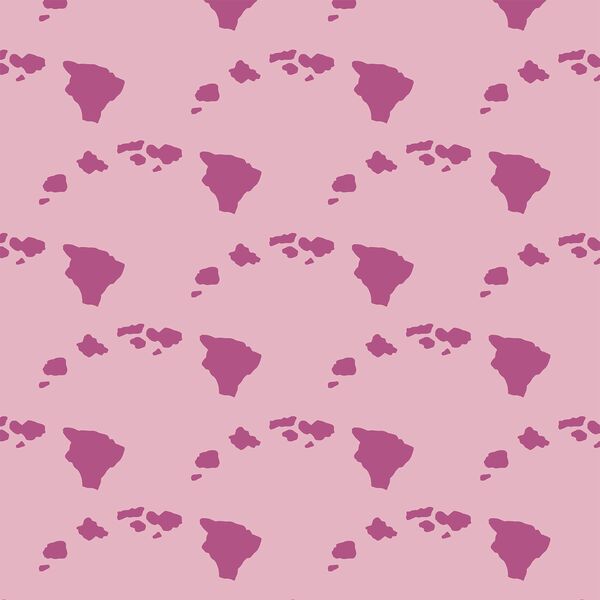 Hawaiian Islands in Carnation